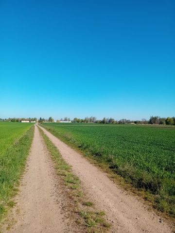 Działka budowlana Koszanowo, ul. Przemysłowa. Zdjęcie 1