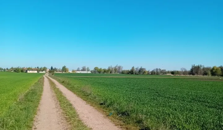Działka budowlana Koszanowo, ul. Przemysłowa