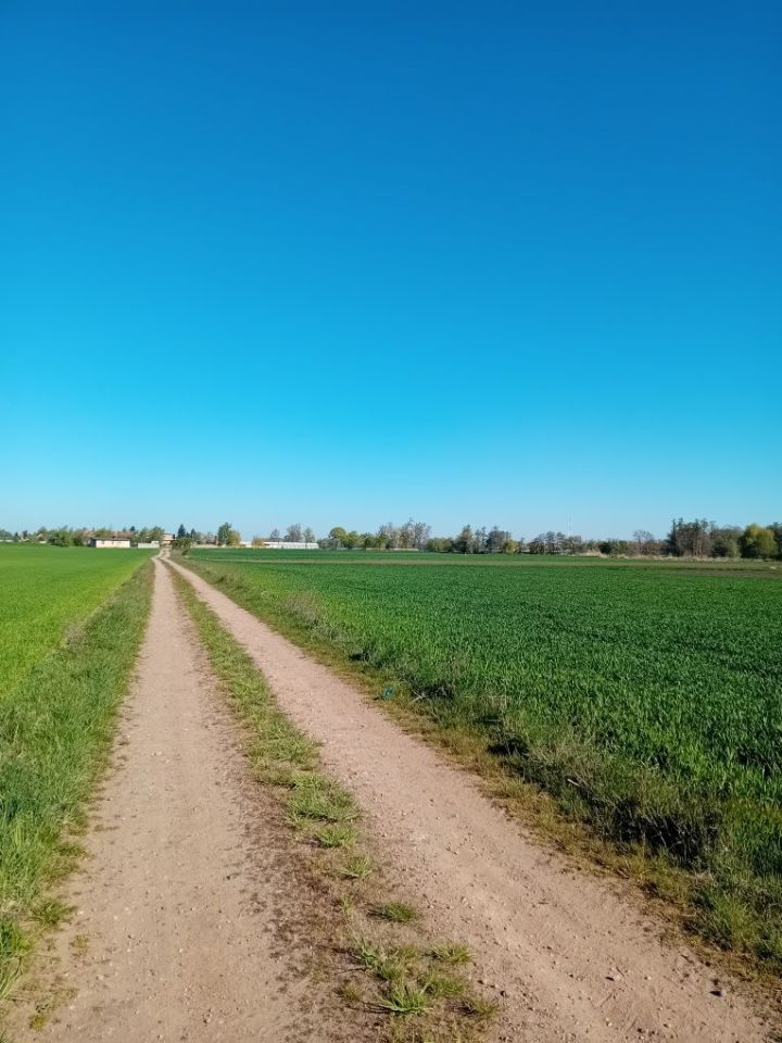 Działka budowlana Koszanowo, ul. Przemysłowa. Zdjęcie 1