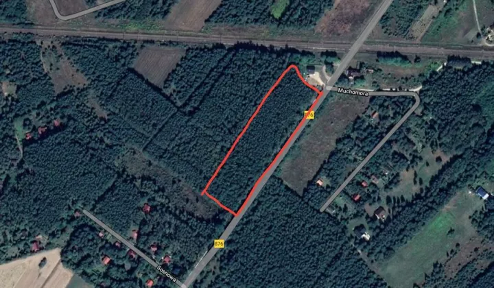 Działka leśna Grzegorzewice