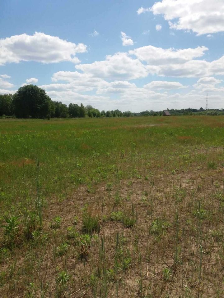 Działka rekreacyjna Kolemczyce. Zdjęcie 7