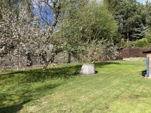 Działka rekreacyjna Zabrze, ul. św. Filipa. Zdjęcie 2