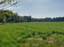 Działka rolno-budowlana Zamęty. Zdjęcie 2