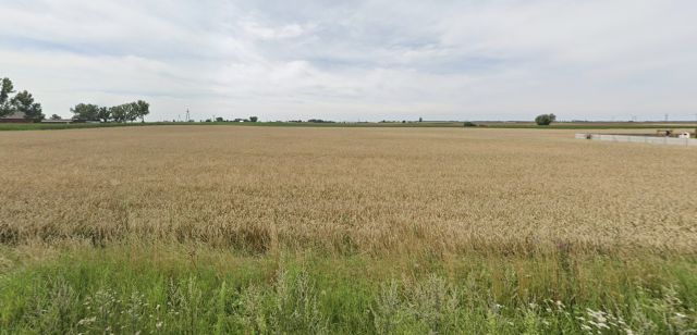 Działka budowlana Dębowo, ul. Broniewska. Zdjęcie 1