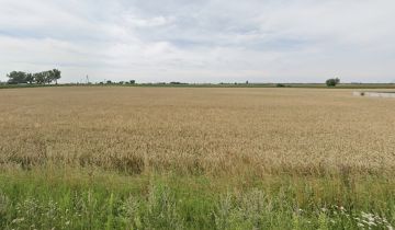 Działka budowlana Dębowo, ul. Broniewska