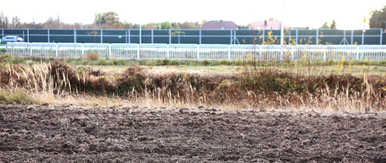 Lokal Sarbiewo. Zdjęcie 6