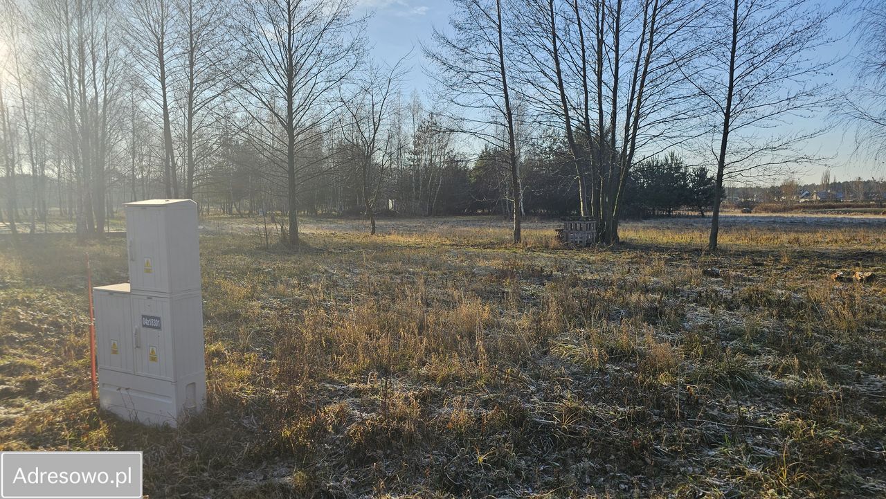 Działka budowlana Józefów, ul. Leśna. Zdjęcie 3