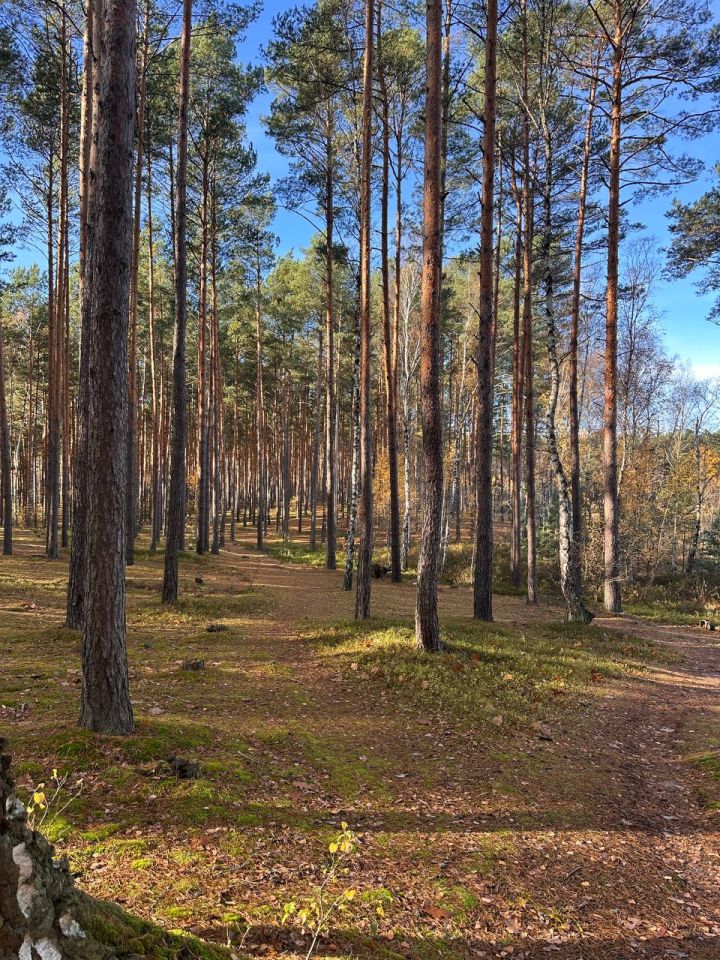 Działka budowlana Chełmica. Zdjęcie 4