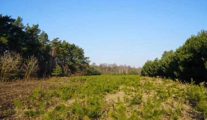 Działka rekreacyjna Gutarzewo