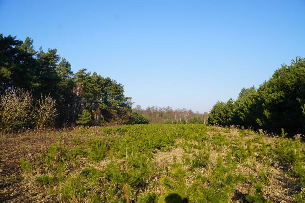 Działka rekreacyjna Gutarzewo. Zdjęcie 1