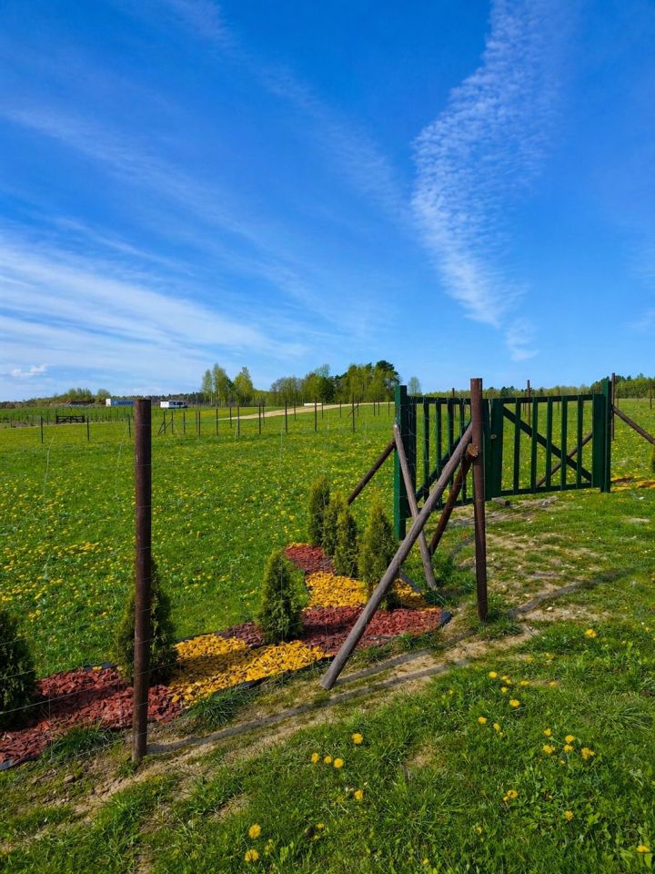 Działka rekreacyjna Orzechowo. Zdjęcie 4