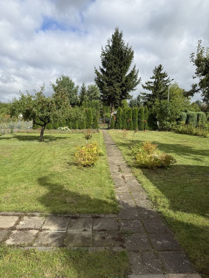 Działka rod Września, ul. Działkowców. Zdjęcie 8