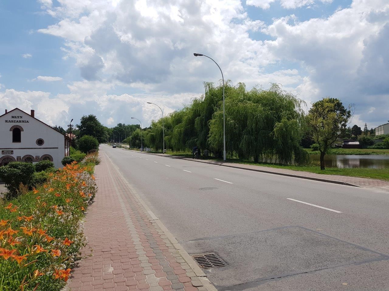 Nieruchomość komercyjna Rudnik nad Sanem, ul. Adama Mickiewicza. Zdjęcie 5