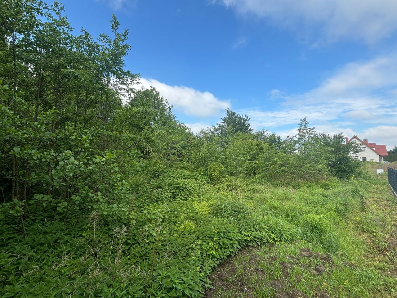 Działka budowlana Księginice. Zdjęcie 4