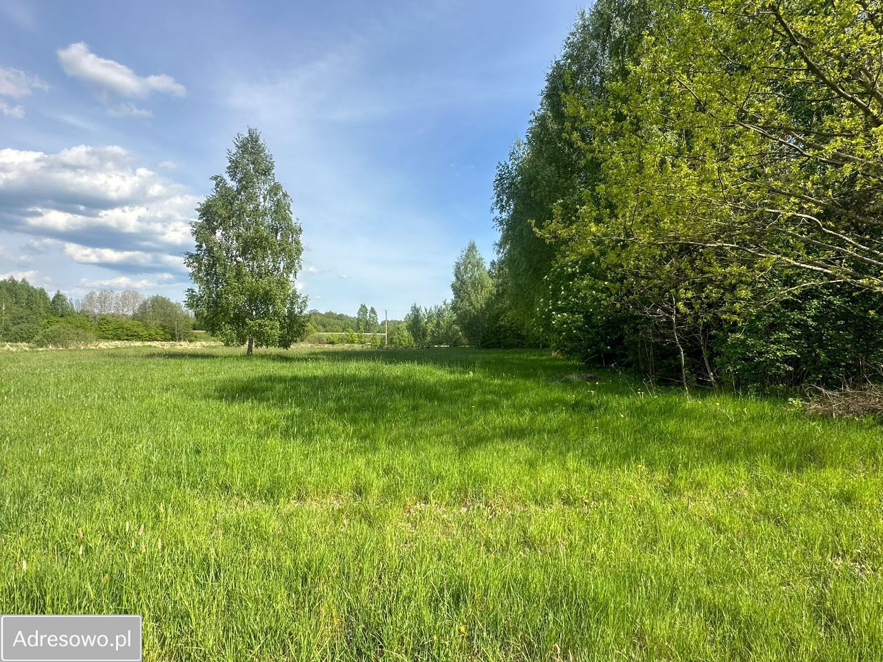 Działka rolna Dubiny. Zdjęcie 10