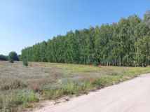 Działka rolna Grzmucin. Zdjęcie 3