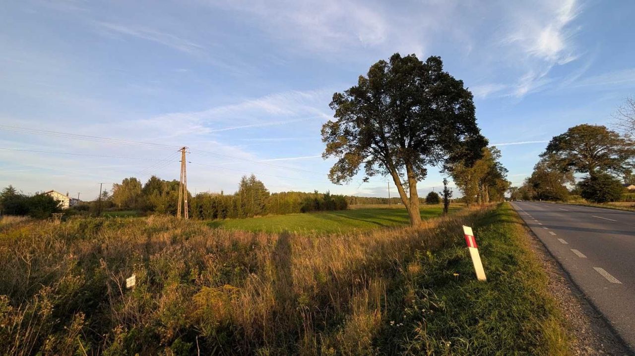 Działka inwestycyjna Ludwinów. Zdjęcie 5