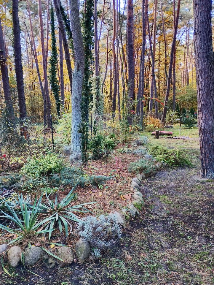 Działka rekreacyjna Sikory. Zdjęcie 10