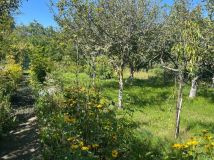 Działka rod Wrocław Krzyki. Zdjęcie 3