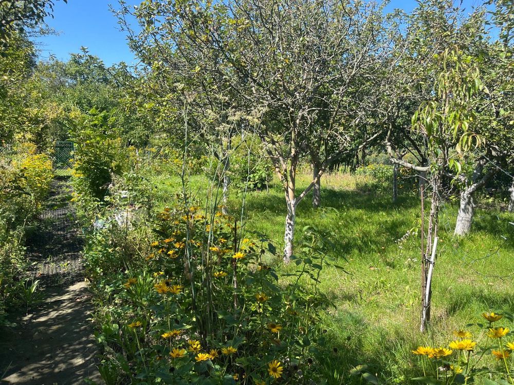 Działka rod Wrocław Krzyki. Zdjęcie 4