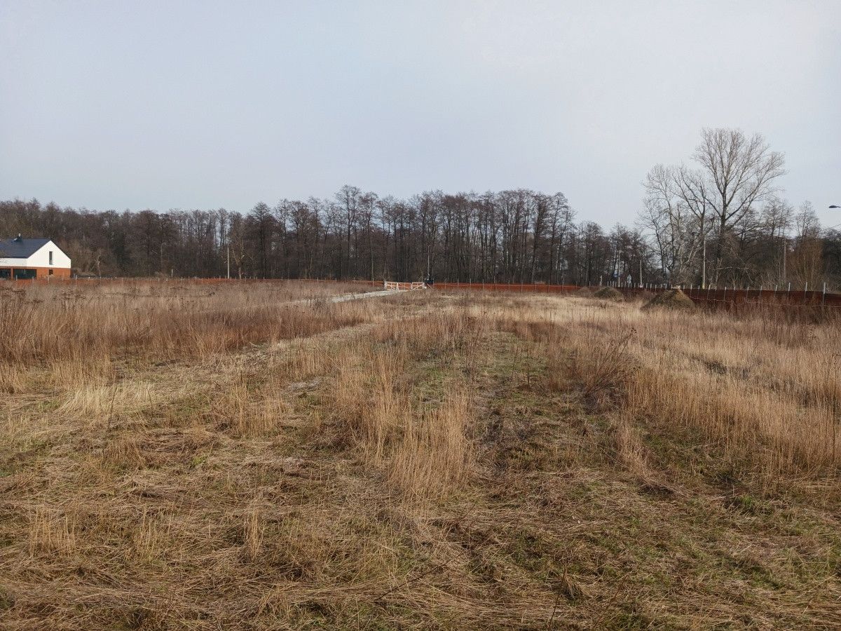 Działka inwestycyjna Warszawa Wilanów, ul. Rosy. Zdjęcie 1