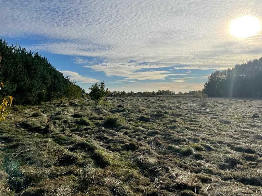 Działka budowlana Ruda Strawczyńska. Zdjęcie 7