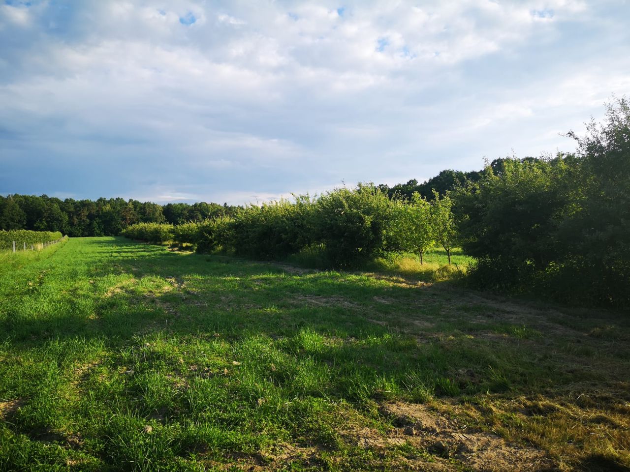 dom wolnostojący, 5 pokoi Antonówka. Zdjęcie 8