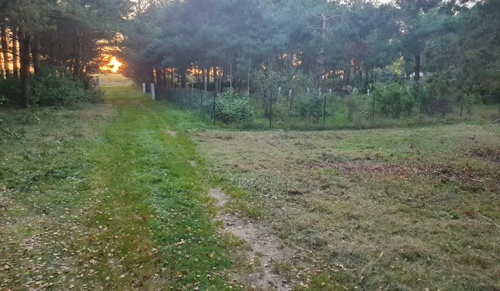 Działka budowlana Golesze-Parcela