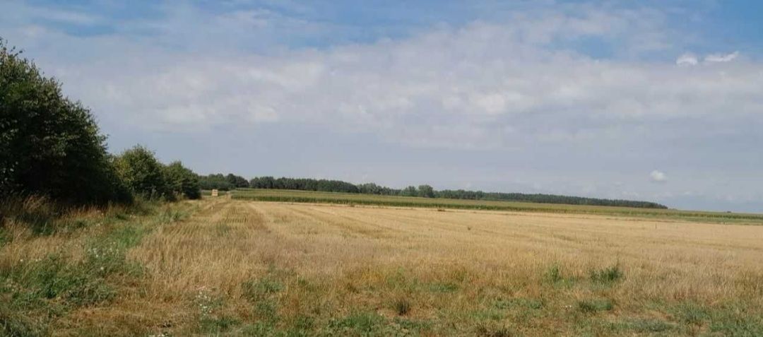 Działka budowlana Turośń Dolna. Zdjęcie 3