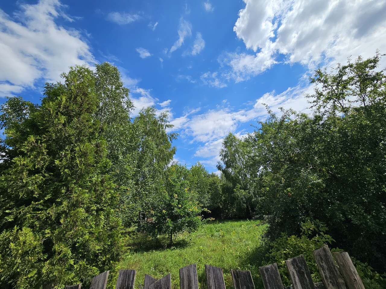 Działka rekreacyjna Urowo Murawki. Zdjęcie 10