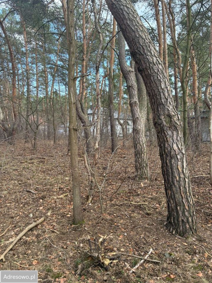 Działka inwestycyjna Józefów, ul. Werbeny. Zdjęcie 3