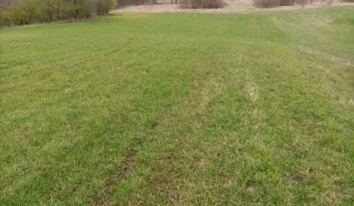 Działka budowlana Udrzyn