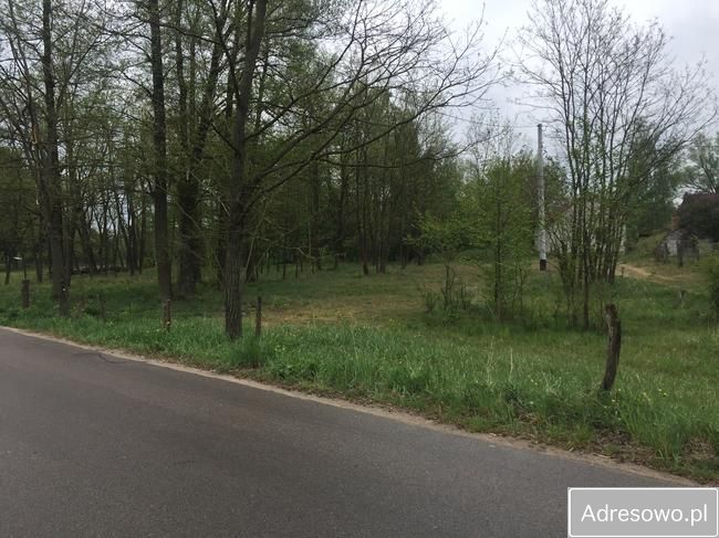 Działka rekreacyjna Zarzetka. Zdjęcie 7