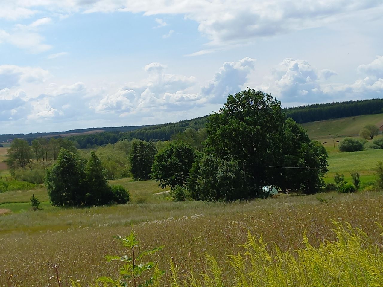 Działka rolno-budowlana Głotowo. Zdjęcie 5