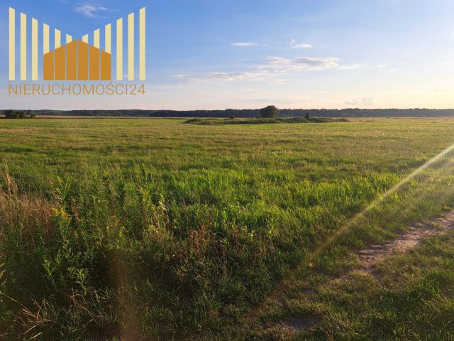 Działka rolna Borki. Zdjęcie 3