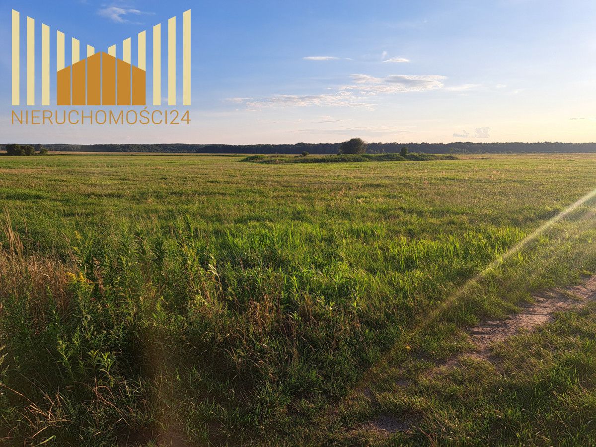 Działka rolna Borki. Zdjęcie 3