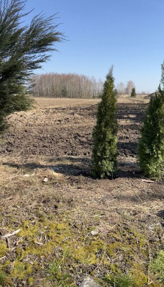 Działka siedliskowa Jarosławiec Reforma. Zdjęcie 8