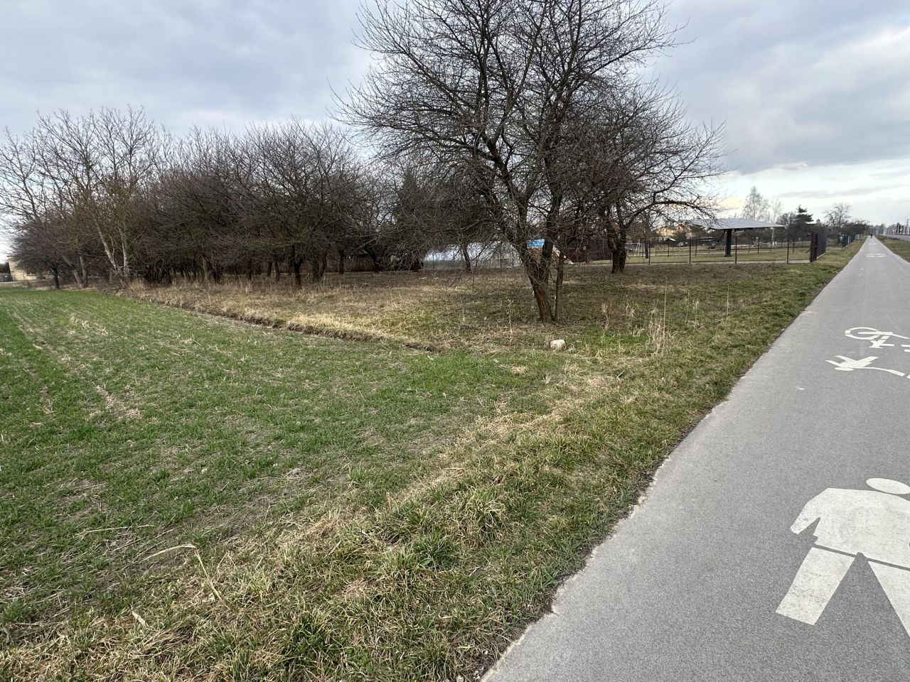 Działka budowlana Dęblin Michalinów, ul. Kwiatowa. Zdjęcie 5