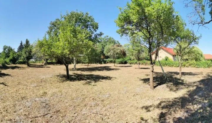 Działka rolno-budowlana Kampinos, ul. Fryderyka Chopina