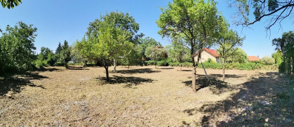 Działka rolno-budowlana Kampinos, ul. Fryderyka Chopina. Zdjęcie 1