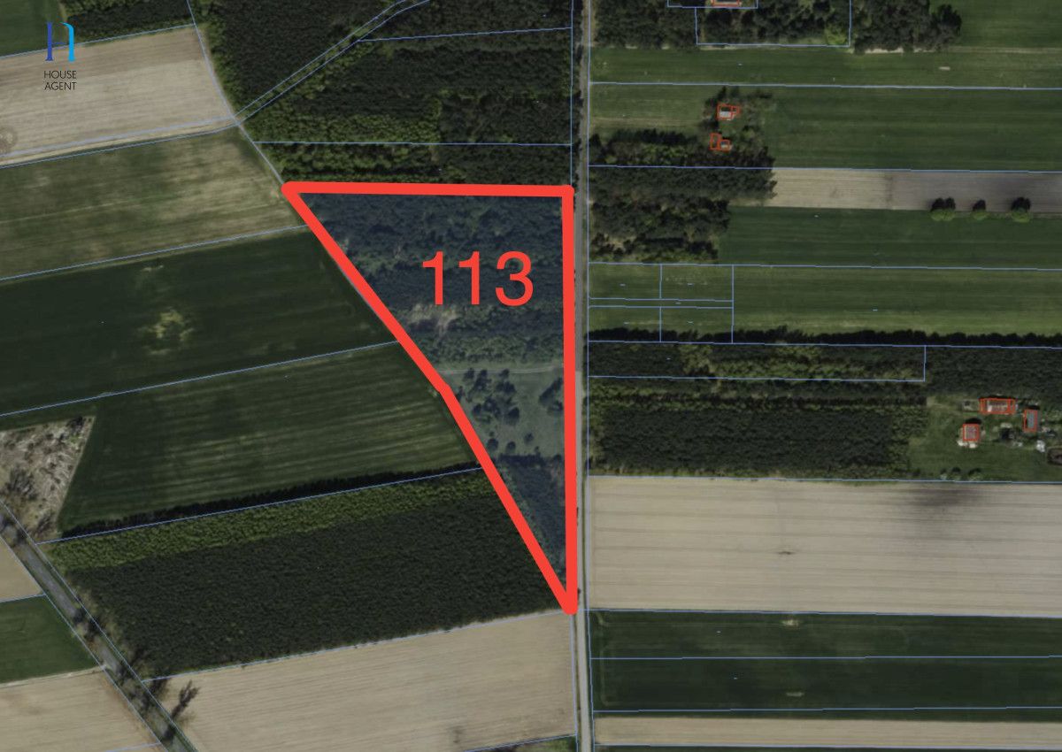 Działka leśna Iwonie. Zdjęcie 2