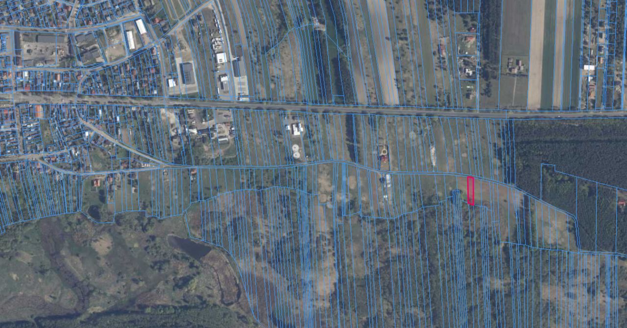 Działka rolna Golina-Kolonia. Zdjęcie 4