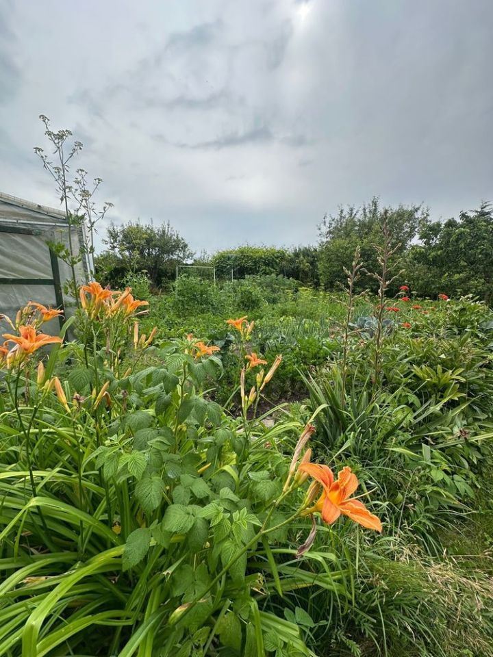 Działka rod Szczecinek. Zdjęcie 3