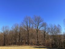 Działka rolno-budowlana Barwałd Średni. Zdjęcie 3