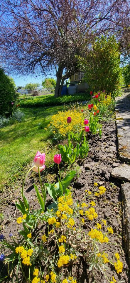 Działka rod Nowe Skalmierzyce. Zdjęcie 6