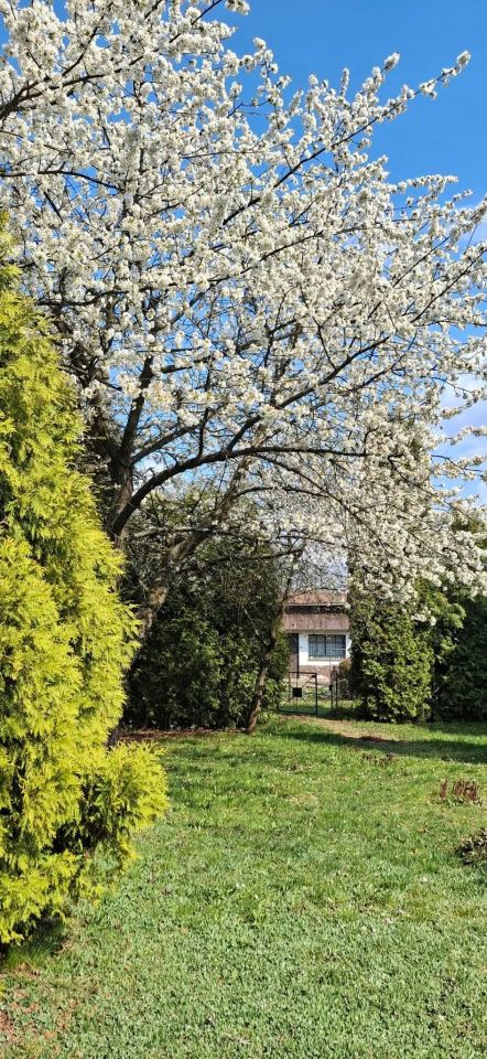 Działka rod Lubliniec, ul. Strzelecka. Zdjęcie 7