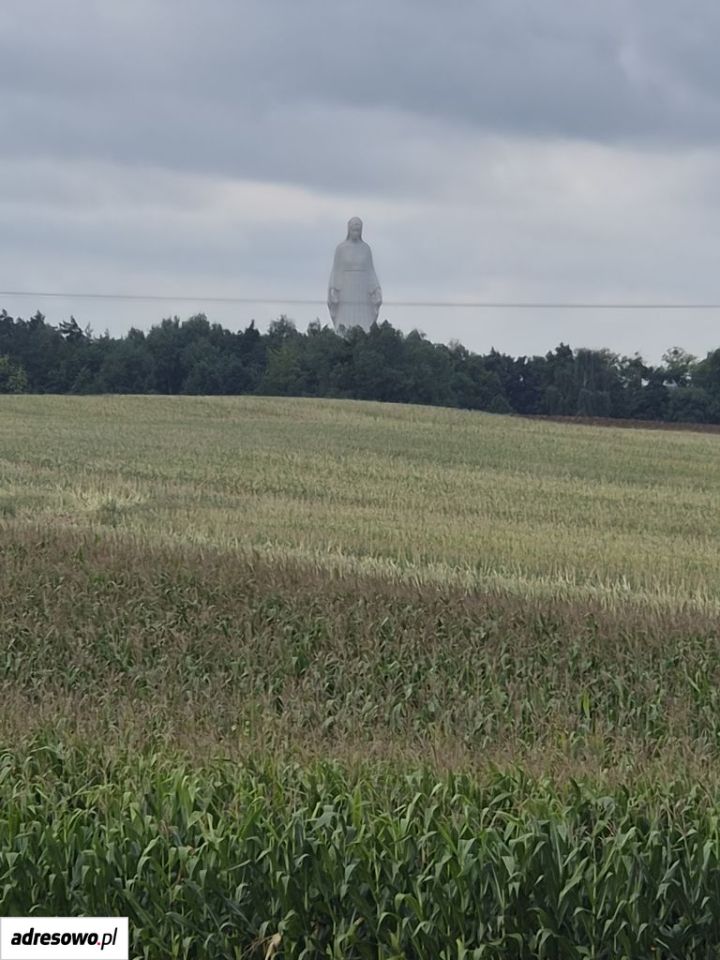dom wolnostojący, 5 pokoi Kikół-Wieś. Zdjęcie 2