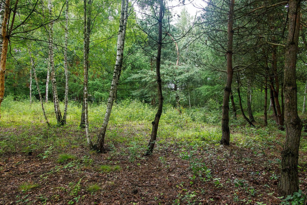 Działka budowlana Michałówek, ul. Nowoczesna. Zdjęcie 7