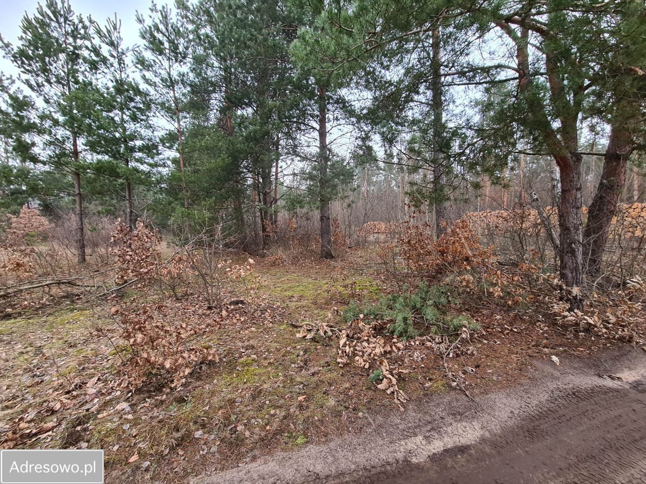 Działka rolno-budowlana Molendy. Zdjęcie 11