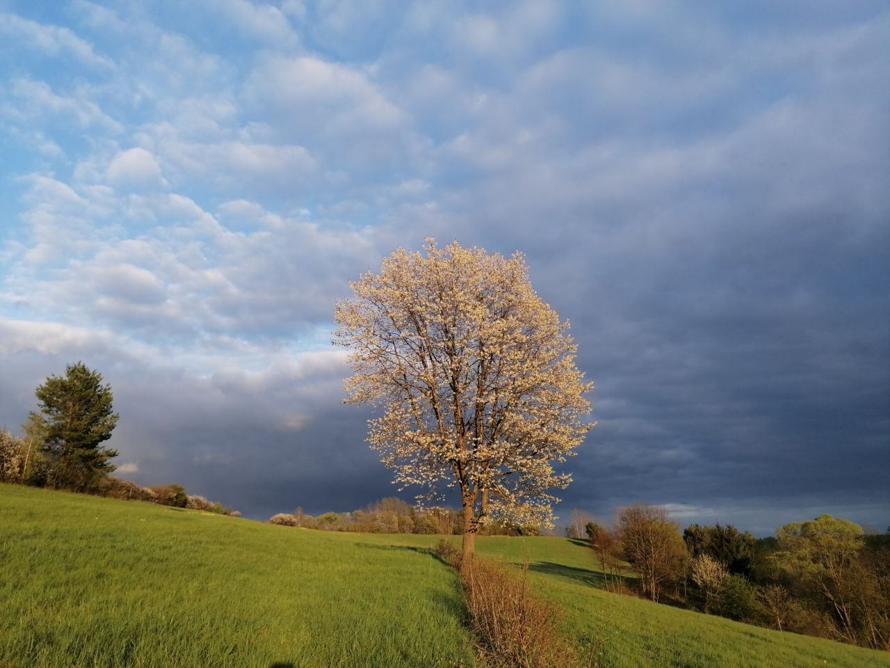 Działka rekreacyjna Rybotycze. Zdjęcie 10